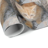 Cadeau Papier d'enrobage de chaton innocent (Coin rond)
