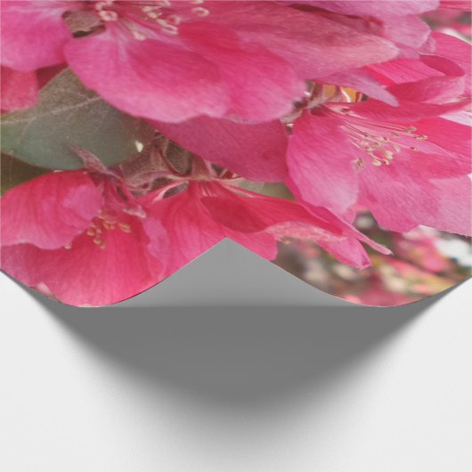 Cadeau Papier d'enrobage de fleur de printemps (Coin)