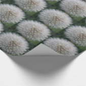 Cadeau Papier d'enrobage de la fleur de Dandelion (Coin)
