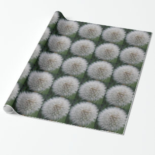 Cadeau Papier d'enrobage de la fleur de Dandelion