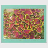 Cadeau Papier d'enrobage de patchs à fleurs Coleus (Plat)
