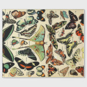 Cadeau Papier d'enveloppement Adolphe Millot Papillons (Plat)