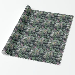 Cadeau Papier d'enveloppement de cactus