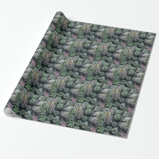 Cadeau Papier d'enveloppement de cactus (Déroulé)