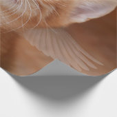 Cadeau Papier d'enveloppement de chats Angel (Coin)