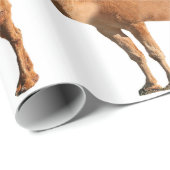 Cadeau Papier d'enveloppement de divorce (Coin rond)