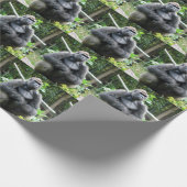 Cadeau Papier d'enveloppement de Gorilla (Coin)
