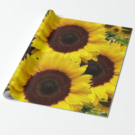 Cadeau Papier d'enveloppement de matte de tournesol (Déroulé)