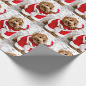 Cadeau Papier d'enveloppement de Noël Cockapoo (Coin)