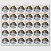 Cadeau Papier d'enveloppement de Noël Nounours blanc mign (Plat)