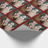 Cadeau Papier d'enveloppement de Noël pour animaux de com (Coin)