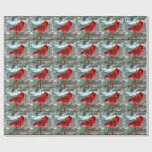 Cadeau Papier d'enveloppement de Noël Red Robin (Plat)