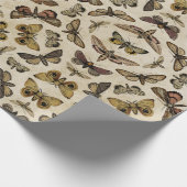 Cadeau Papier d'enveloppement de papillons de nuit vintag (Coin)