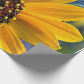 Cadeau Papier d'enveloppement de tôles de perroquets de t (Coin)