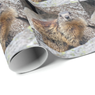 Cadeau Papier d'enveloppement des marmottes alpines