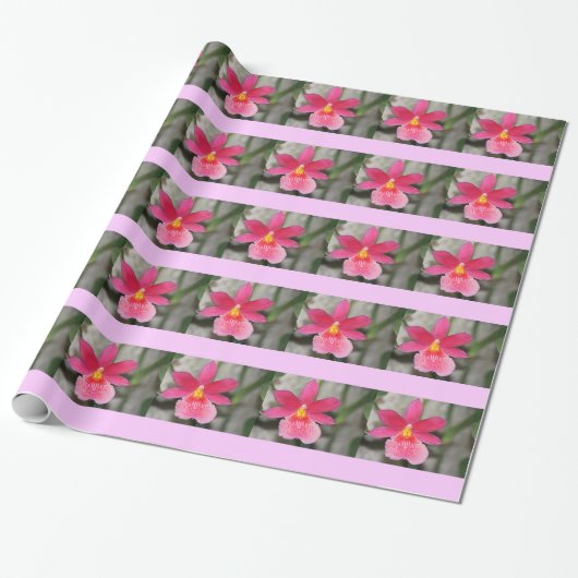 Cadeau Papier d'enveloppement d'orchidées roses (Déroulé)