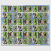 Cadeau Papier d'enveloppement d'ours (Plat)