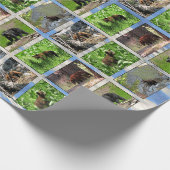 Cadeau Papier d'enveloppement d'ours (Coin)