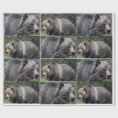 Cadeau Papier d'enveloppement d'ours grizzli (Plat)