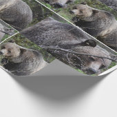 Cadeau Papier d'enveloppement d'ours grizzli (Coin)