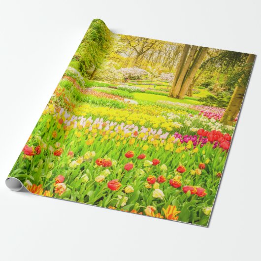 Cadeau Papier d'enveloppement du parc des Tulipes et Daff (Déroulé)