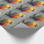 Cadeau Papier d'enveloppement Jenday Conure (Coin)