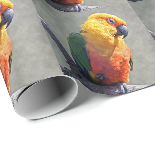 Cadeau Papier d'enveloppement Jenday Conure (Coin rond)