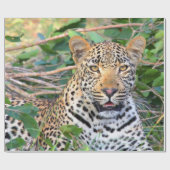 Cadeau Papier d'enveloppement Leopard 6 (Plat)