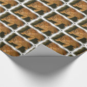 Cadeau Papier d'enveloppement mignon Kitty (Coin)