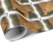 Cadeau Papier d'enveloppement mignon Kitty (Coin rond)