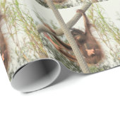 Cadeau Papier d'enveloppement Orangutan pour bébé idiot (Coin rond)