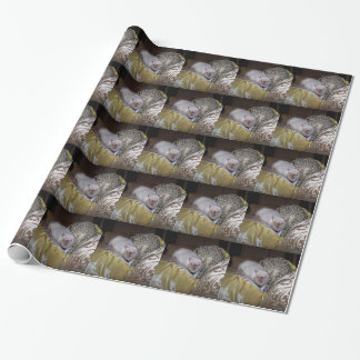 Cadeau Papier d'enveloppement pour animaux de compagnie R