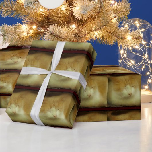 Cadeau Papier d'enveloppement pour chats doux (Vacances)
