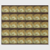 Cadeau Papier d'enveloppement pour chats doux (Plat)