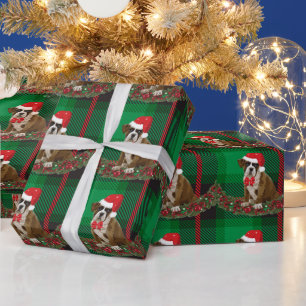 Cadeau Papier d'enveloppement vert Casquette pour chien d