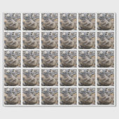 Cadeau Papier d'enveloppement Zen Rock (Plat)