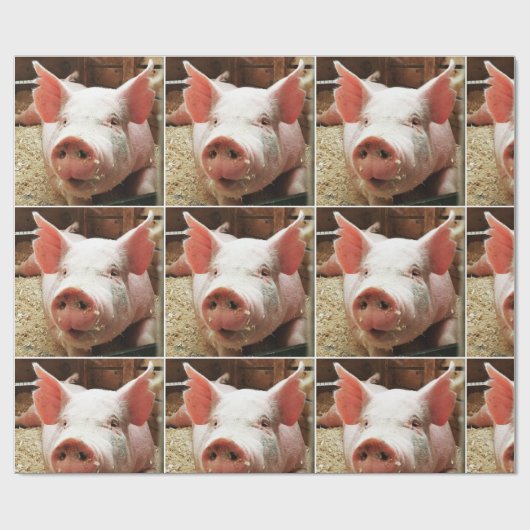 CADEAU PAPIER D'ÉTIQUETAGE (Plat)