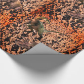 Cadeau Papier Dinosaure (Coin)