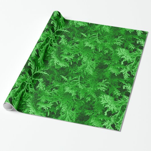 Cadeau Papier écorce de cèdre vert (Déroulé)