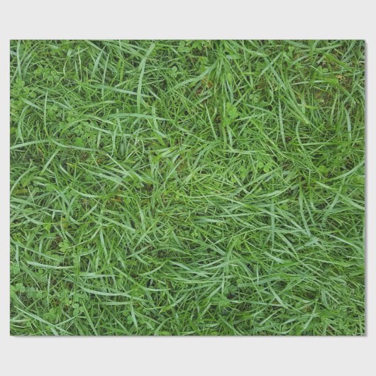 Cadeau Papier écrémé (Plat)