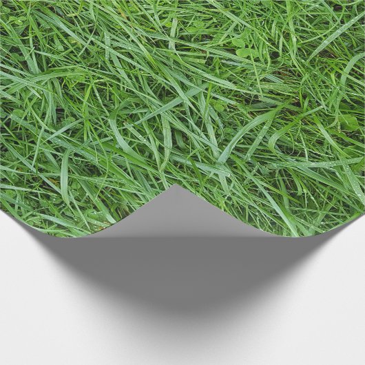 Cadeau Papier écrémé (Coin)