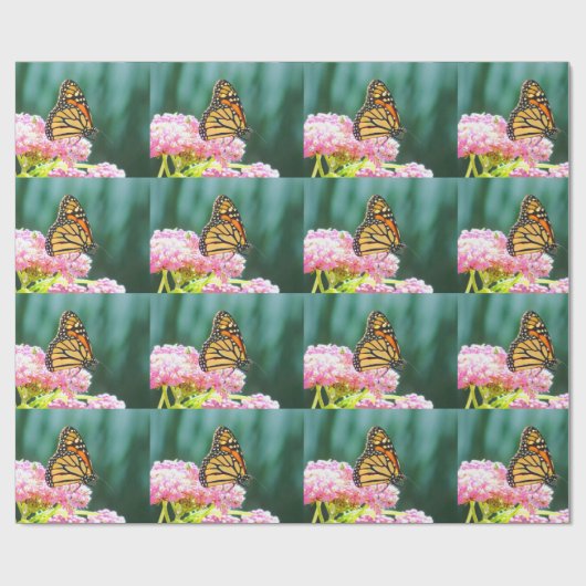 Cadeau Papier Monarque Papier d'enveloppement de beauté p (Plat)