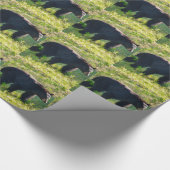 Cadeau Papier noir à enveloppement pour ours (Coin)