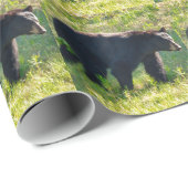 Cadeau Papier noir à enveloppement pour ours (Coin rond)