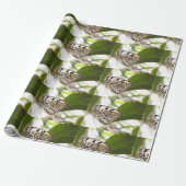 Cadeau Papier papillon (Déroulé)