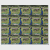 Cadeau Papier Peacock Photo Matte Wrapper (Plat)
