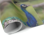 Cadeau Papier Peacock Photo Matte Wrapper (Coin rond)