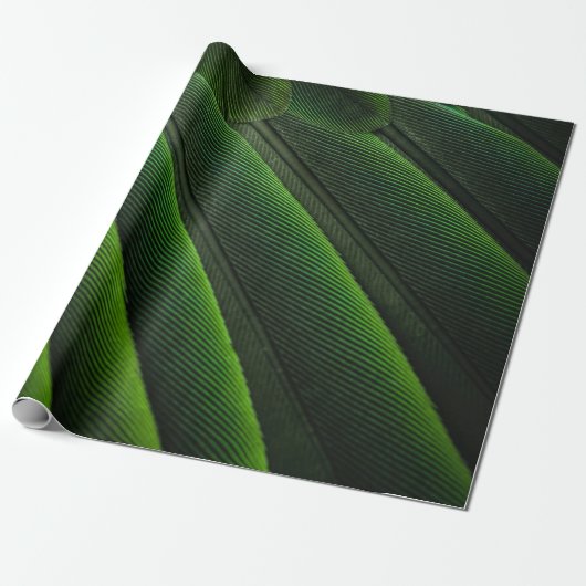 Cadeau Papier peint 3D vert (Déroulé)