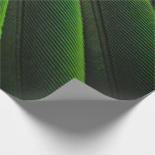 Cadeau Papier peint 3D vert (Coin)