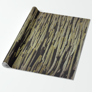 Cadeau Papier peint cactus vert